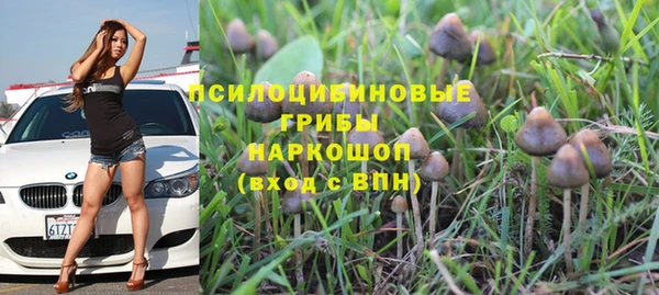 apvp Елабуга