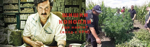 прущий лед Ельня