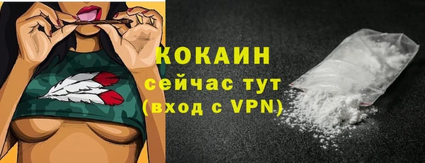 прущий лед Ельня