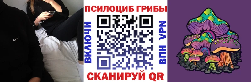 Купить где  Макарьев  Псилоцибиновые грибы прущие грибы 